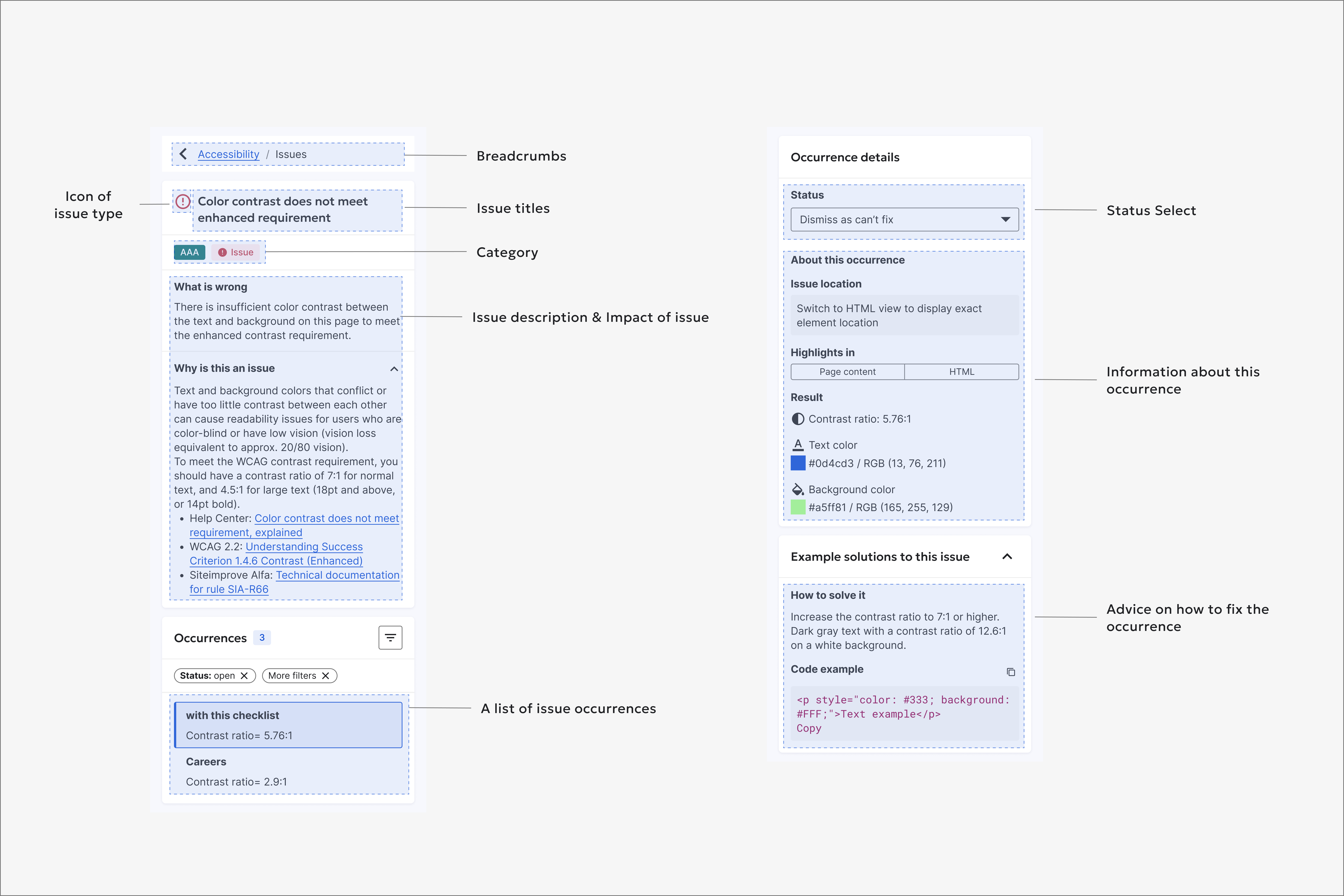 Page report issue details and occurrence details
